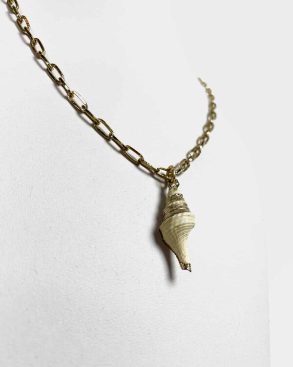 Colar conchas dourado ISABAHIA