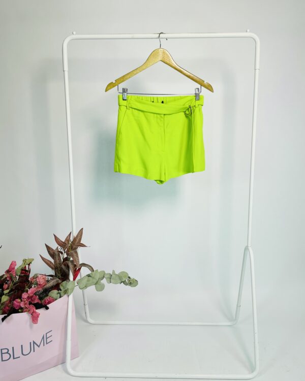 Short verde limão faixa ANIMALE - 36